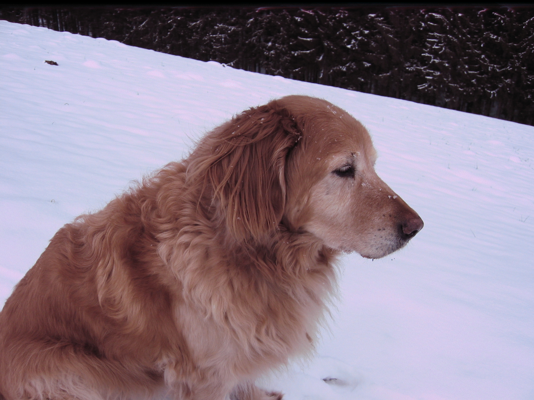 Anuk - Wirbelblockade mit Muskelverspannungen.jpg (2272 x 1704)